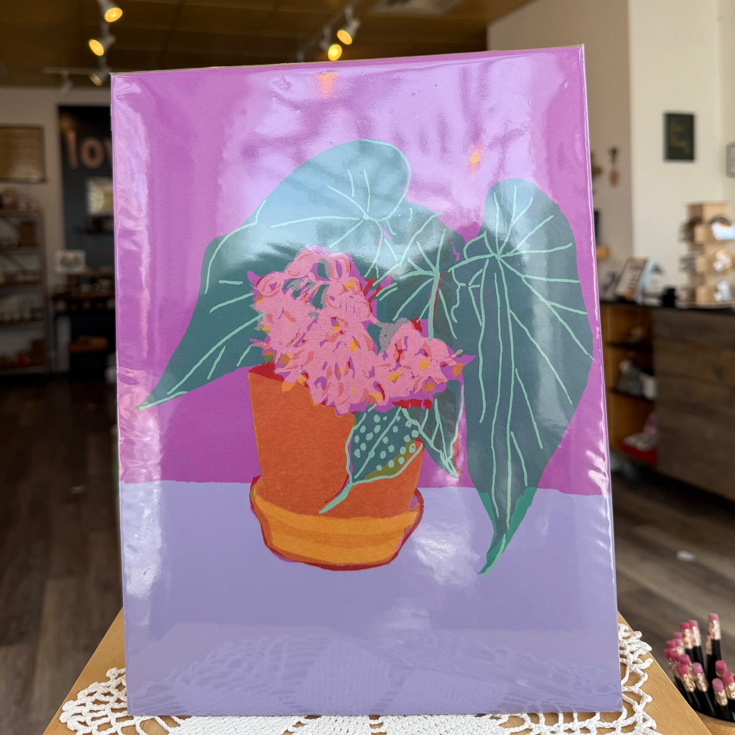 Honeysuckle Begonia Bloom