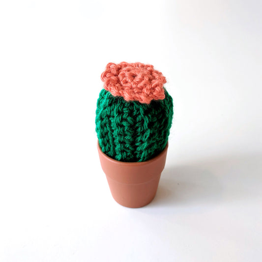 Mini Crocheted Cactus