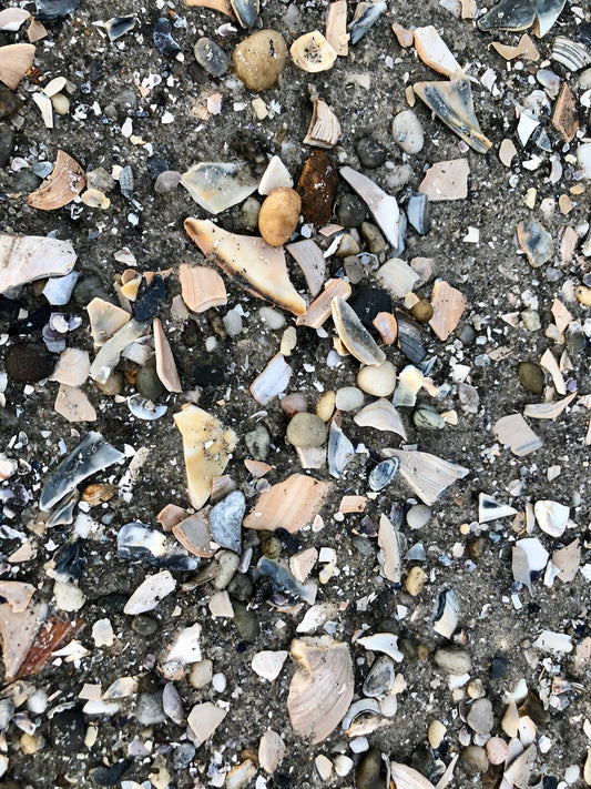 JULY ONE OF A KIND: SOFT PASTELS AND SUMMER SHELLS