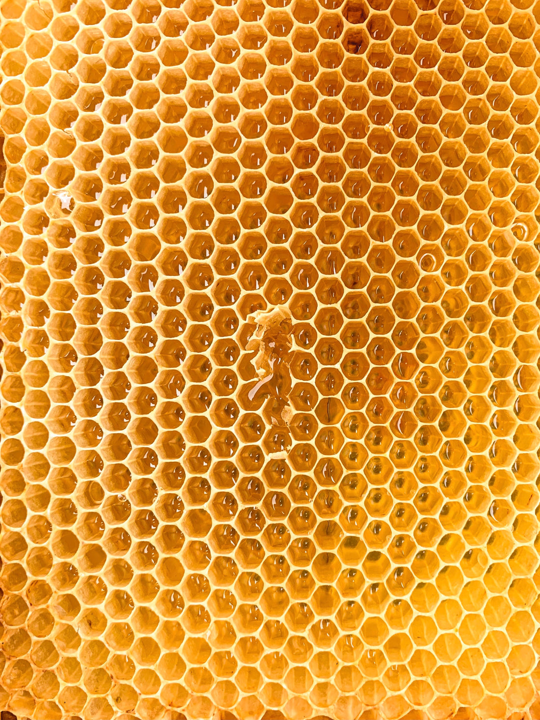 The Benefits of Local Honey