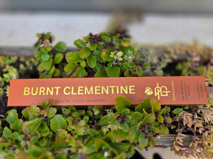 Burnt Clementine Incense