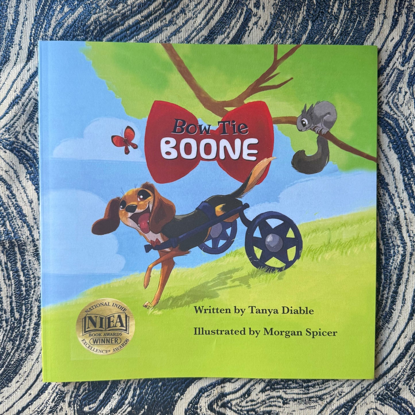 Bow Tie Boone Book