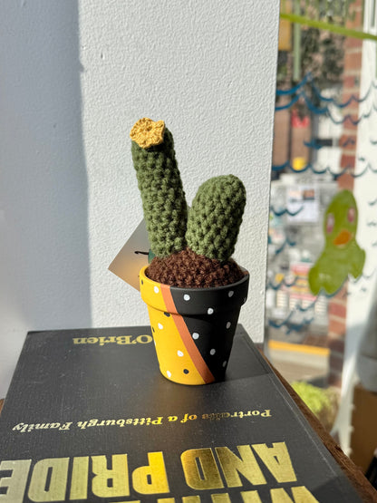 Crochet Cacti Pal - Dots
