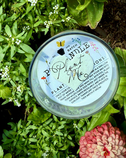 pennsylvania wildflower seeds Wildflowers Of Pennsylvania Candle – love, Pittsburgh