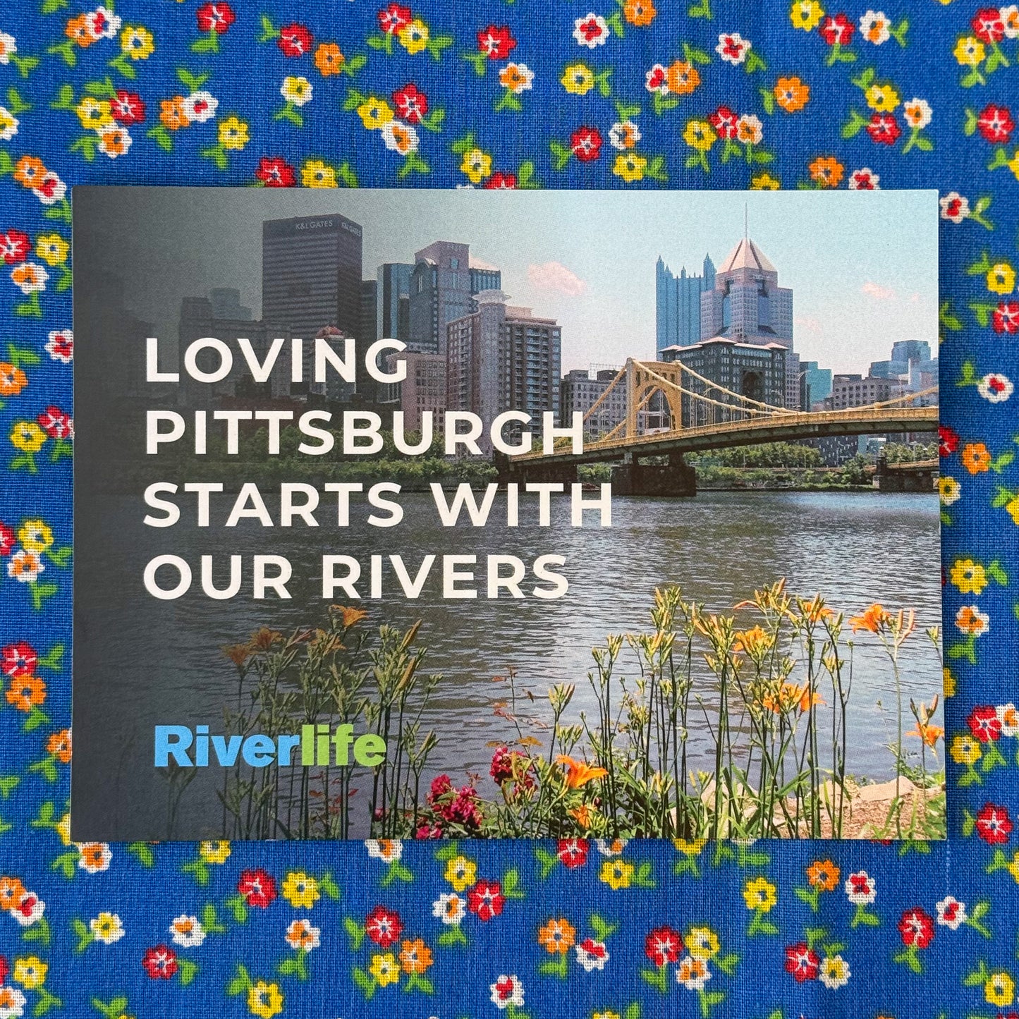 Riverlife Box