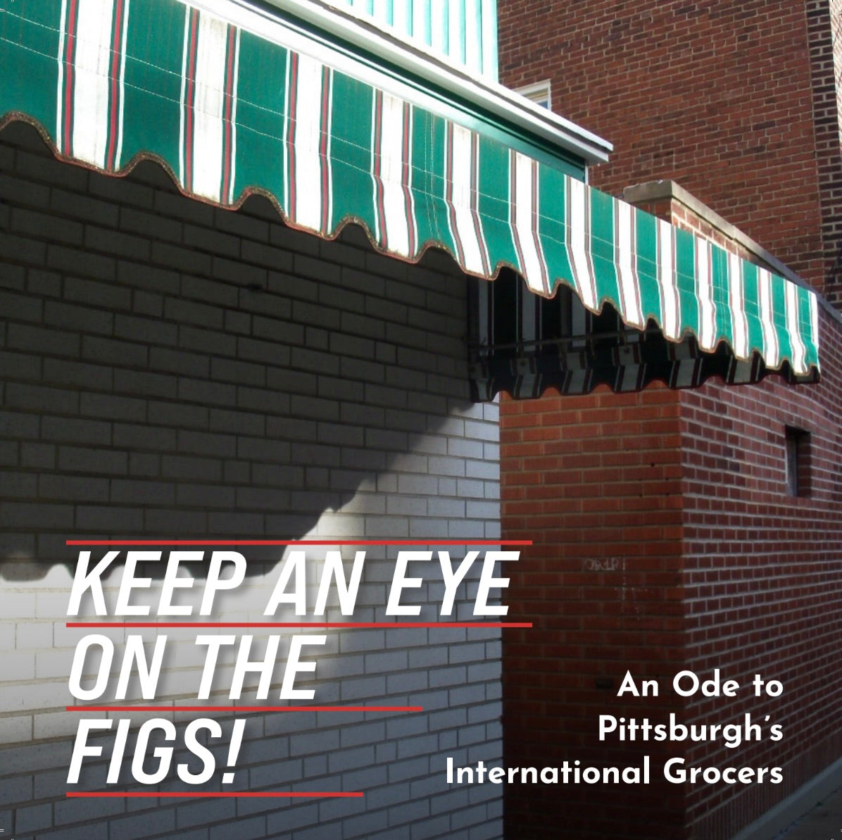 Keep an Eye on the Figs Book