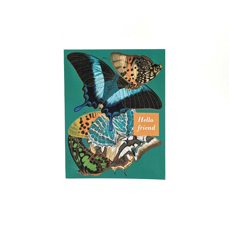 Butterfly Card Set