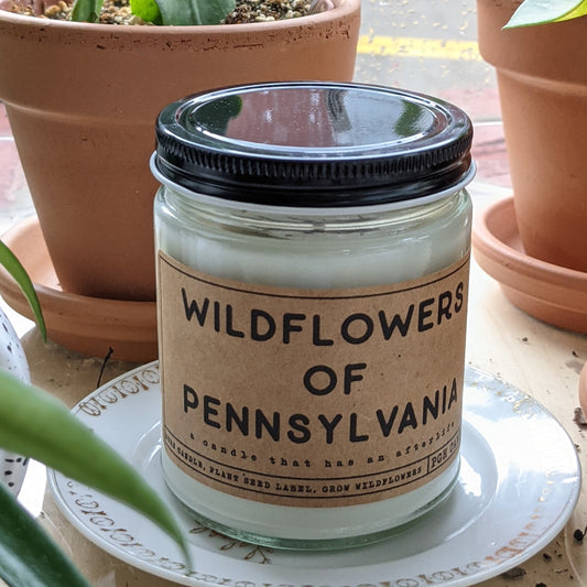 Wildflowers Of Pennsylvania Candle